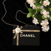 Chanel Plexiglass Gift Box Minaudière