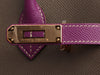 Hermès SO Etain and Anemone Epsom Birkin 30