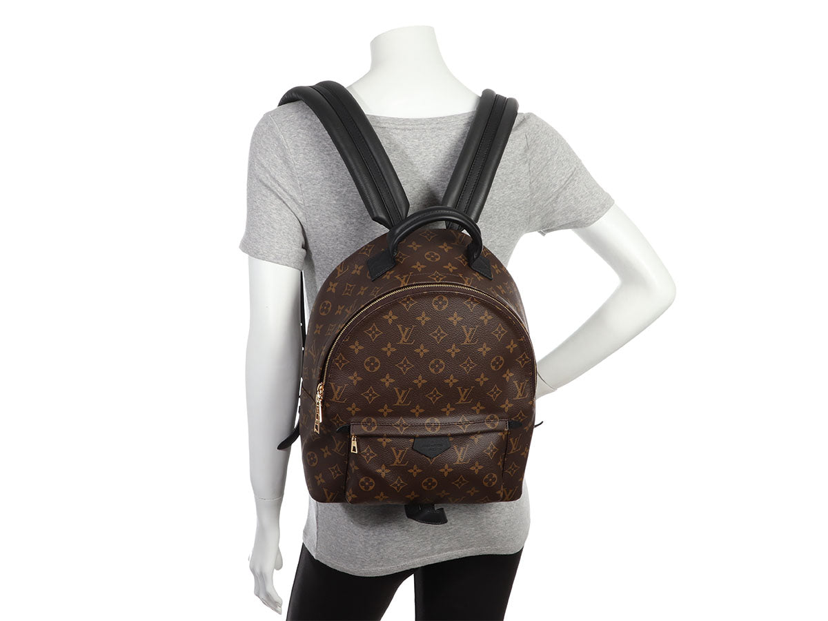 Louis Vuitton Palm Springs Backpack Backpack 389214