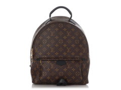 Louis Vuitton, Bags, Louis Vuitton Rucksack Monogram Palm Springs Backpack  Pm Womens M456 Daypack
