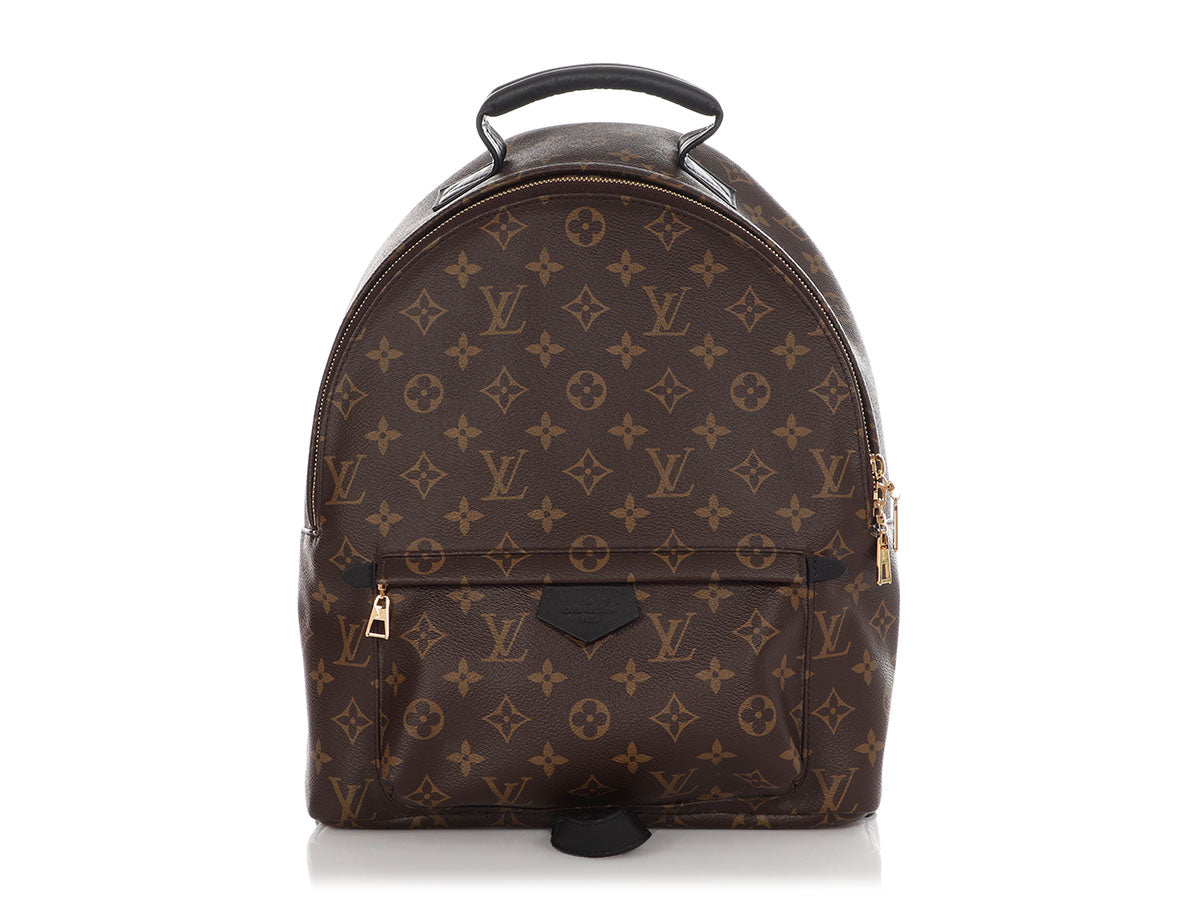 Louis Vuitton Palm Spring Backpack in Brown Monogram Canvas