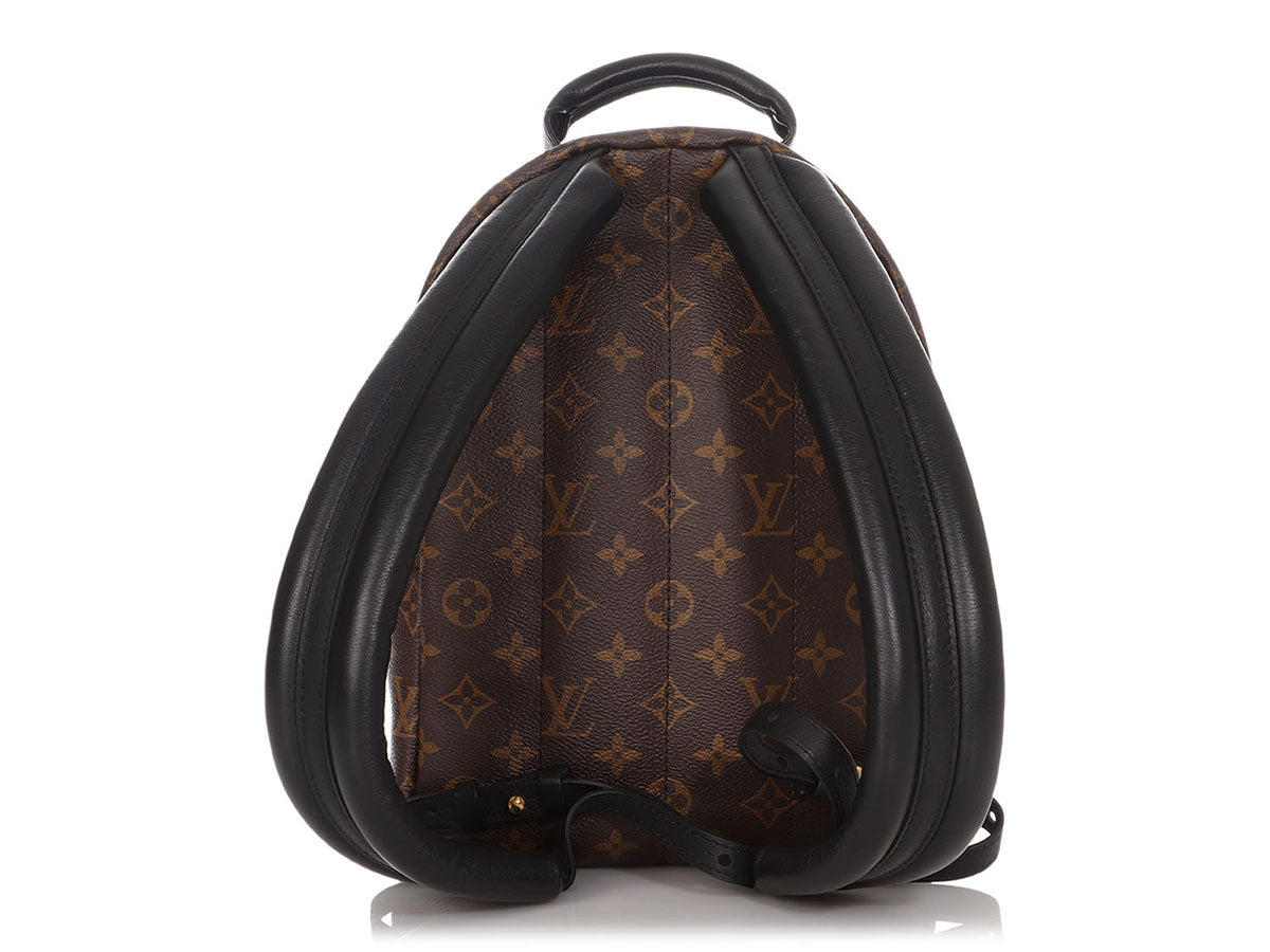 Louis Vuitton palm springs PM backpack reverse – Lady Clara's
